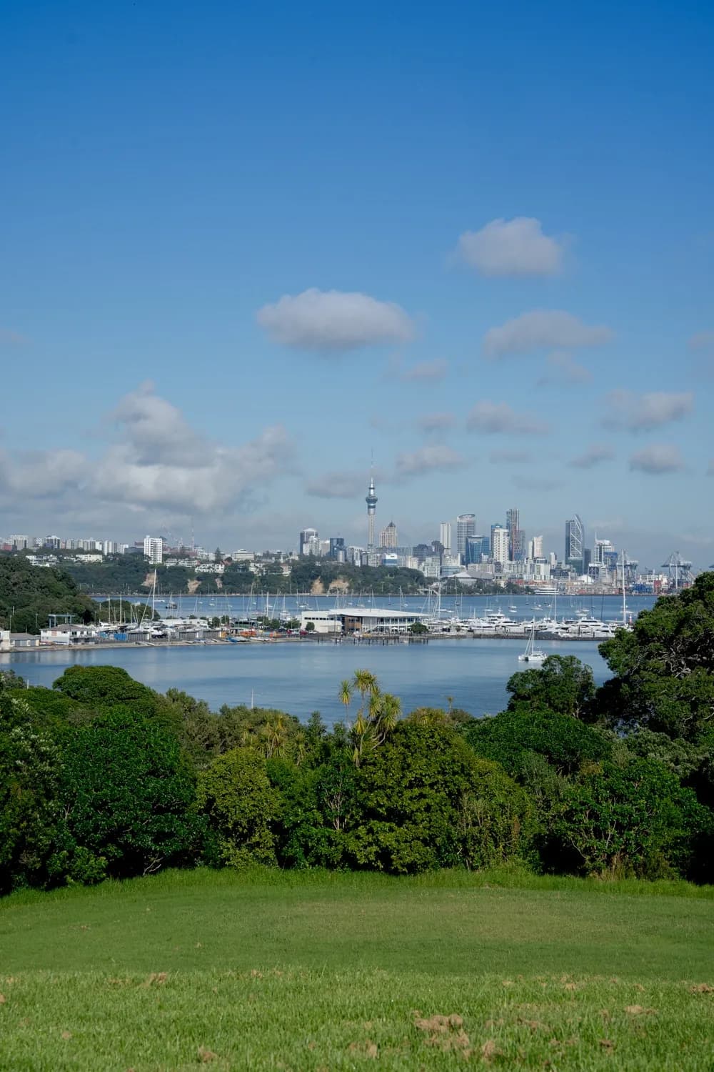 Auckland skyline on nice day